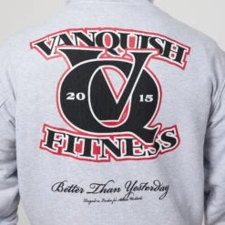 Vanquish TSP Light Grey VQ Interlock Oversized Pullover Hoodie -Vanquish Fitness Shop VQFit E commerceFeb2499885
