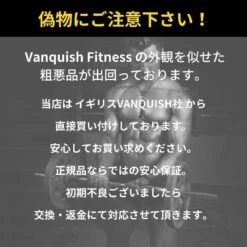 VANQUISH FITNESS | Street Style Activewear Tops -Vanquish Fitness Shop org 101